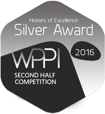 Wppi Silver award