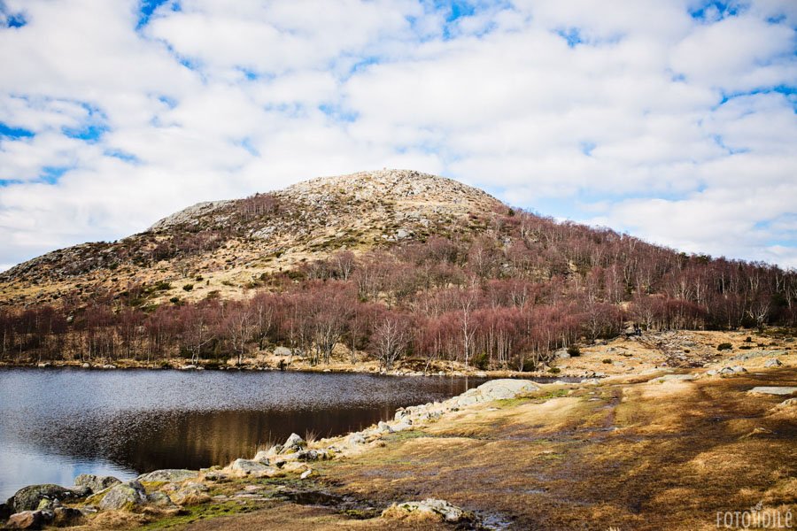 Dalsnuten kalnas ir Revholstjorn ežeras Norvegijoje