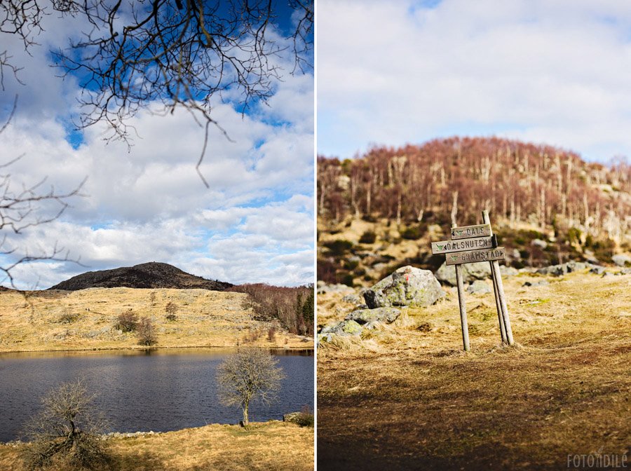 Dalsnuten parkas Norvegijoje
