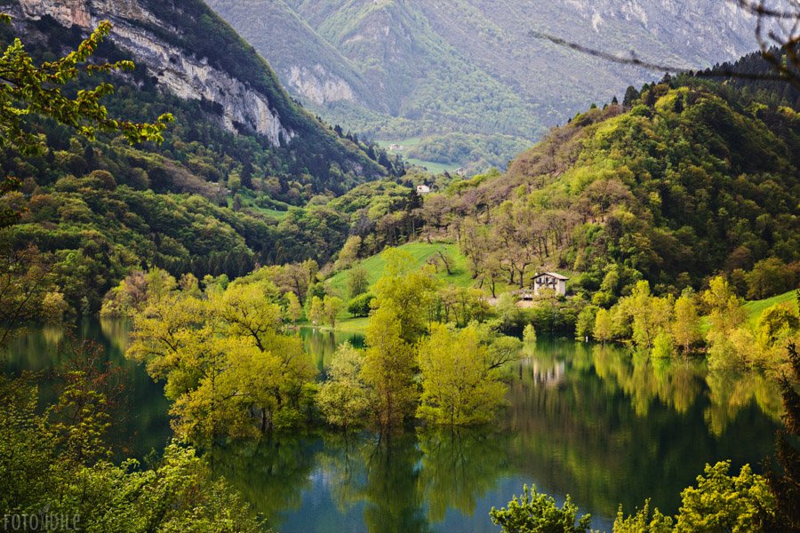 Medaus menuo prie Lago di Tenno Italijos Alpėse