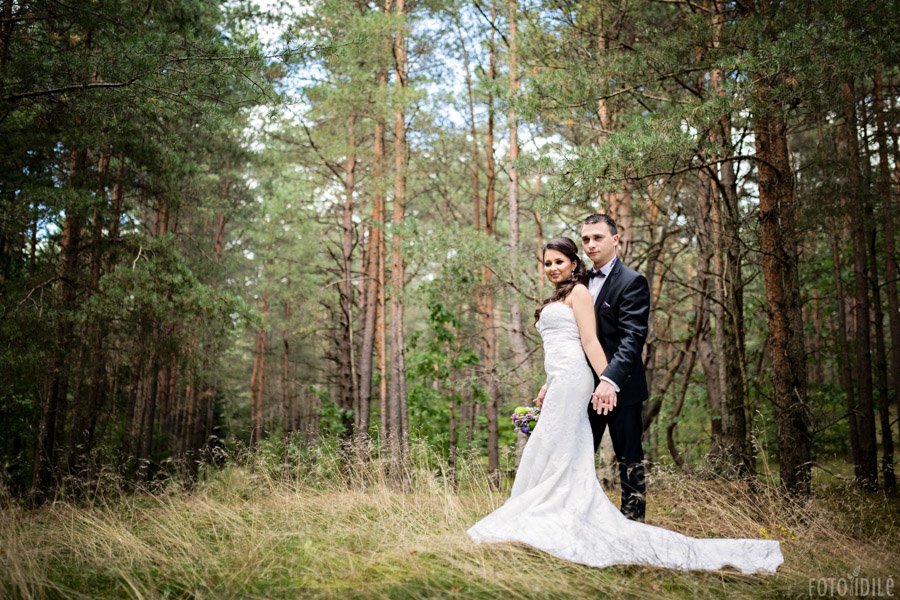 Miško fotosesija vestuvių dieną