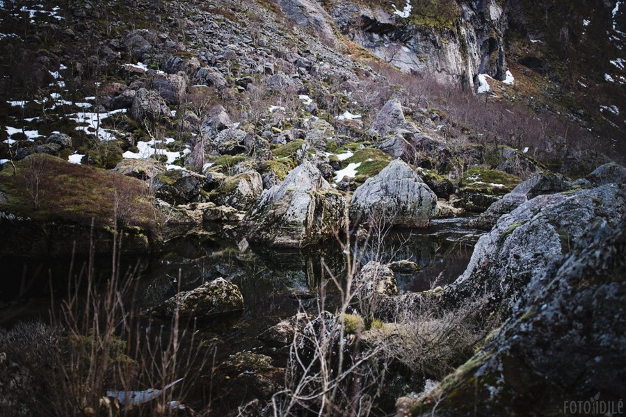 Paslaptinga gamta Rogaland regione Norvegijoje
