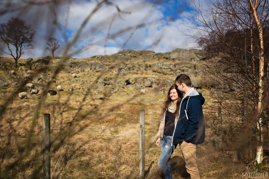 Pora stebi besiganančias avis Dalsnuten parke Norvegijoje