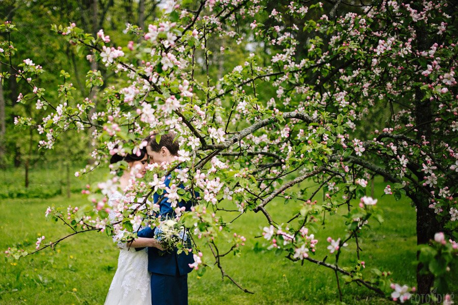 Romantiška fotosesija pavasarį obelų sode vestuvių metu