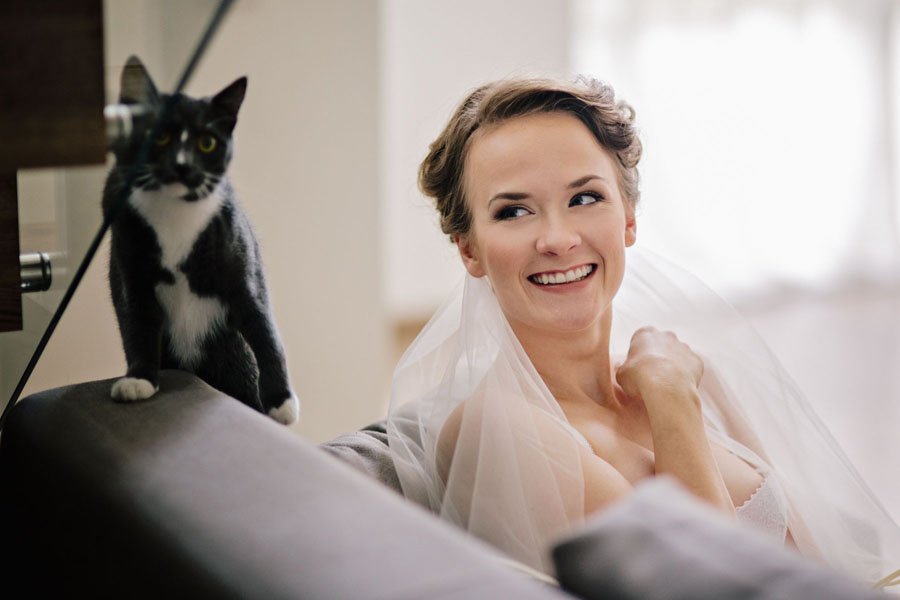 Nuotaka ir juodas katinas vestuvių rytą