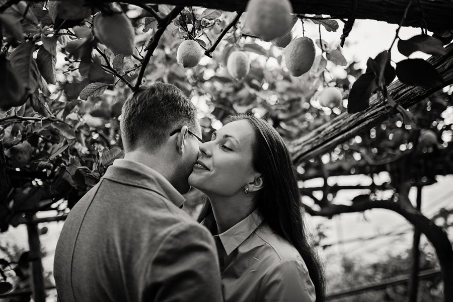 Vestuvių fotografai Amalfio citrinmedžių sode